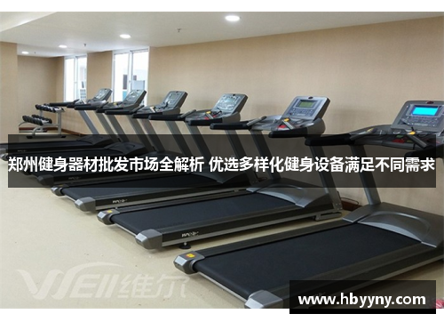 郑州健身器材批发市场全解析 优选多样化健身设备满足不同需求