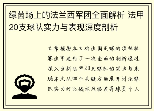 绿茵场上的法兰西军团全面解析 法甲20支球队实力与表现深度剖析