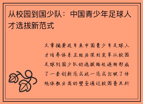 从校园到国少队：中国青少年足球人才选拔新范式