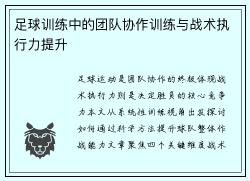 足球训练中的团队协作训练与战术执行力提升
